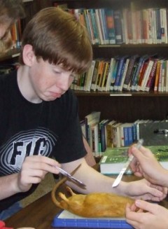 1917367_198145571800_4446435_n (2)